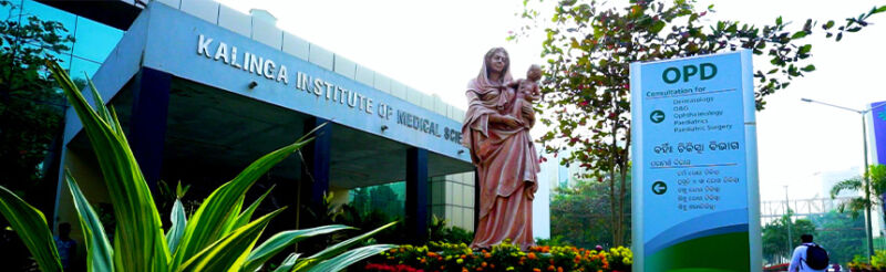 KIIT | Top Ranked University in India for an Academic Innovation